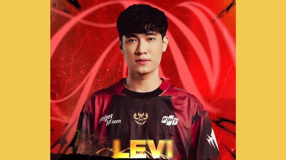 Levi