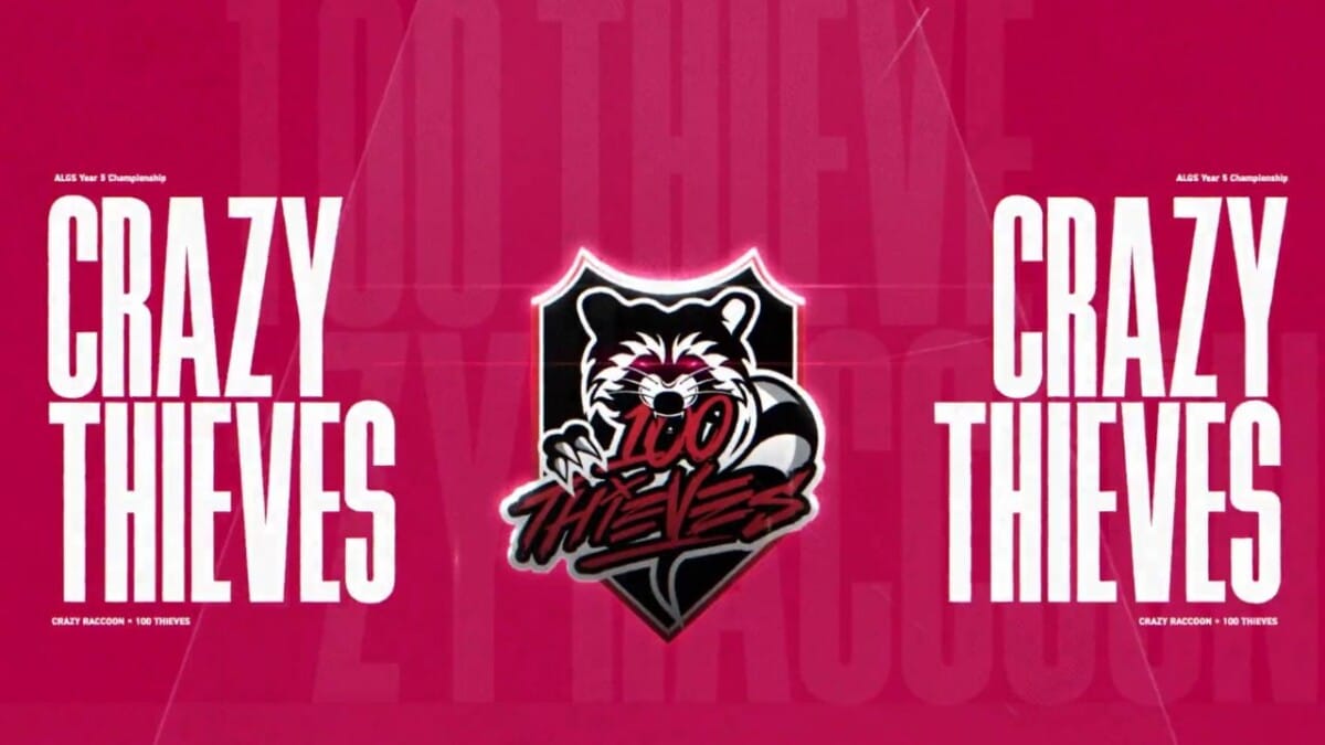 100 THIEVES