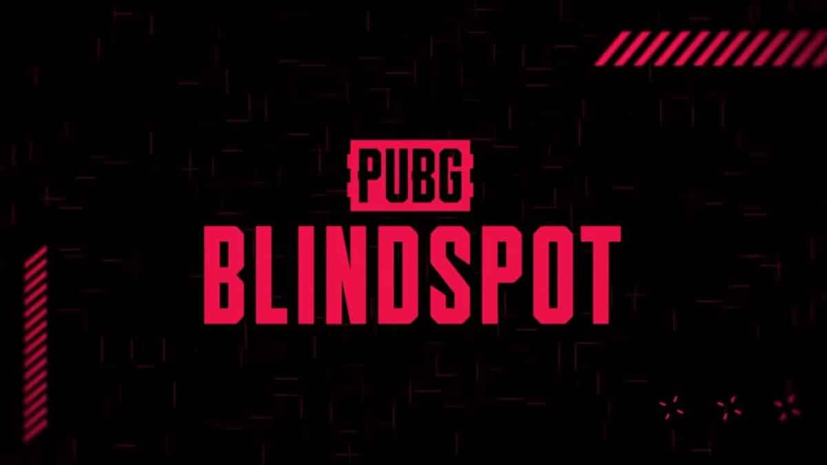PUBG: BLINDSPOT