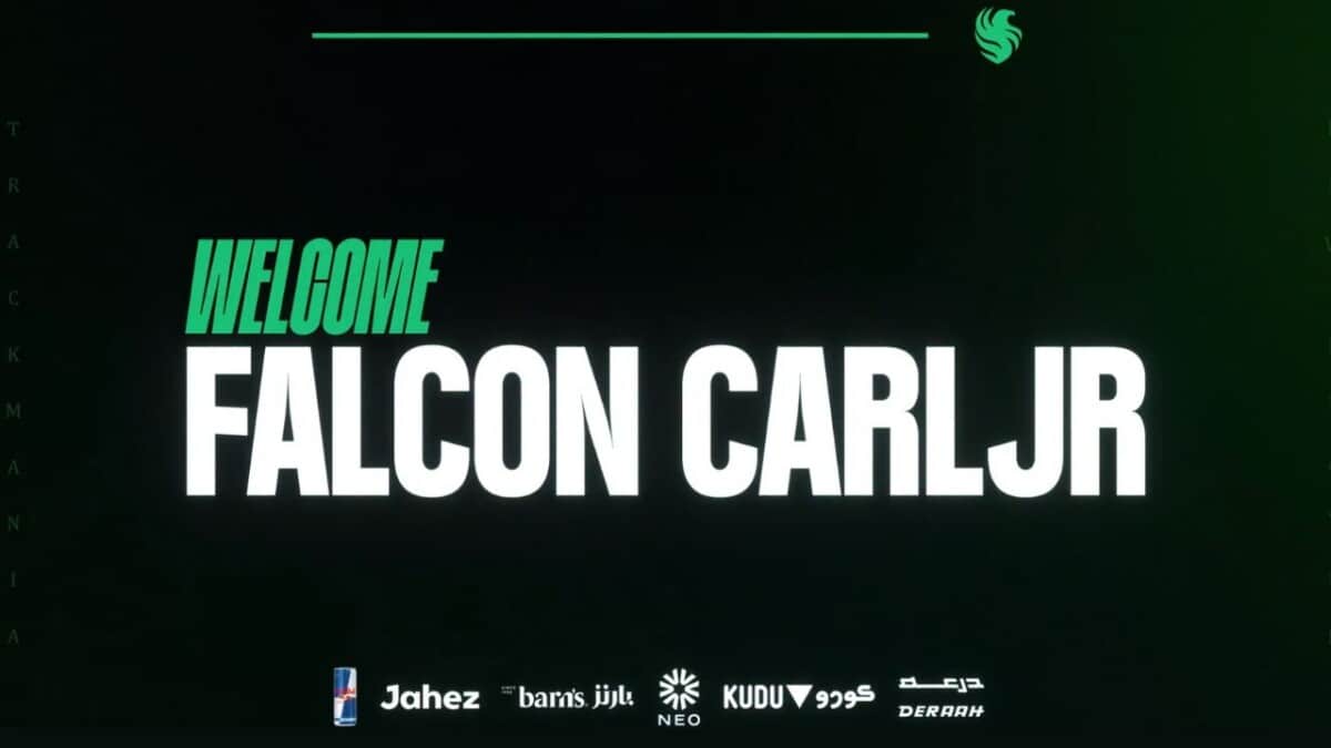 Team Falcons