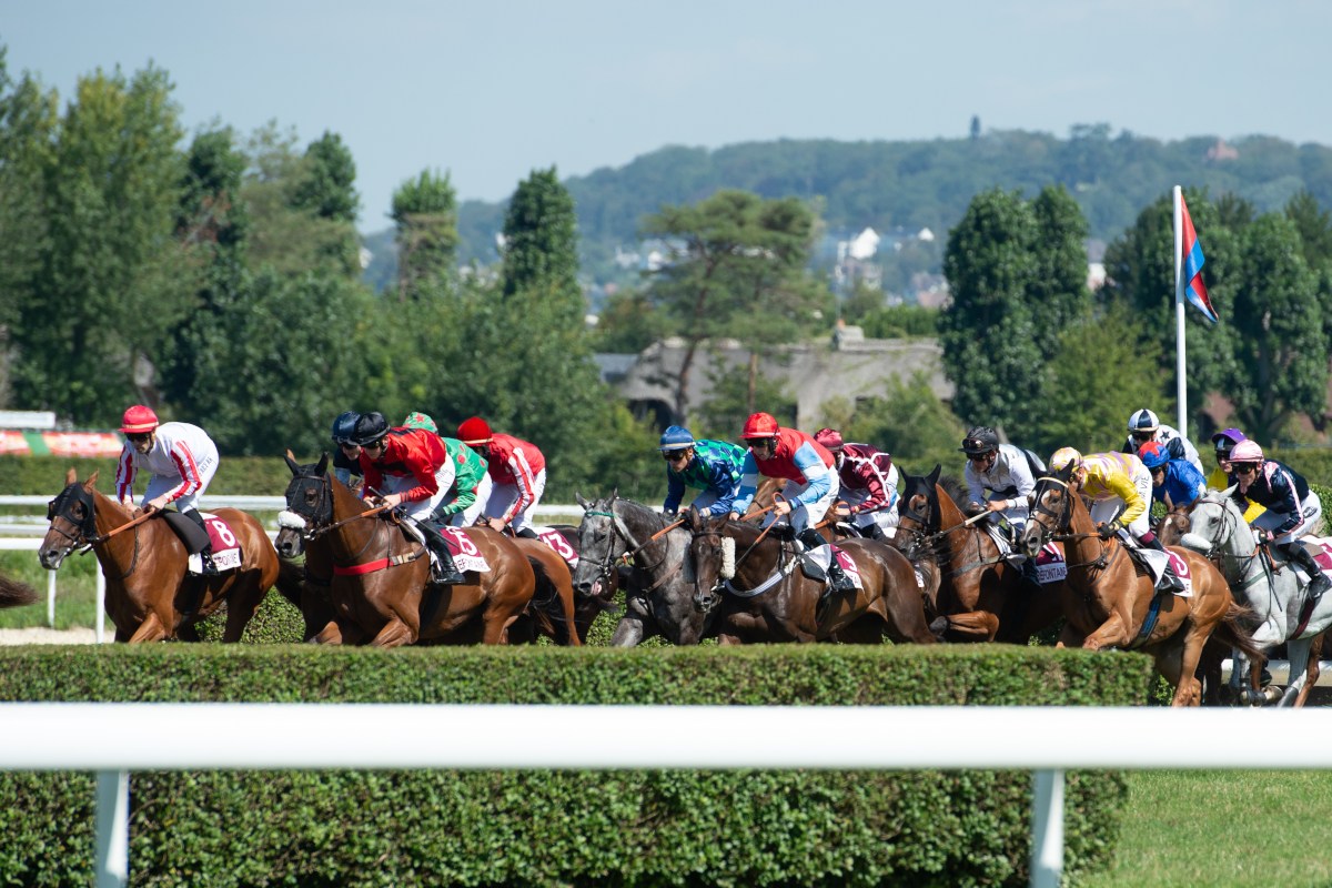 Parker, Jokic, Lavillenie, Batum ou Griezmann, ils sont tous fans de courses hippiques