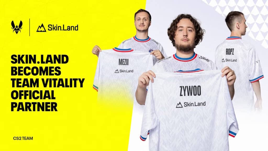 Team Vitality x Skin.Land : un partenariat explosif !