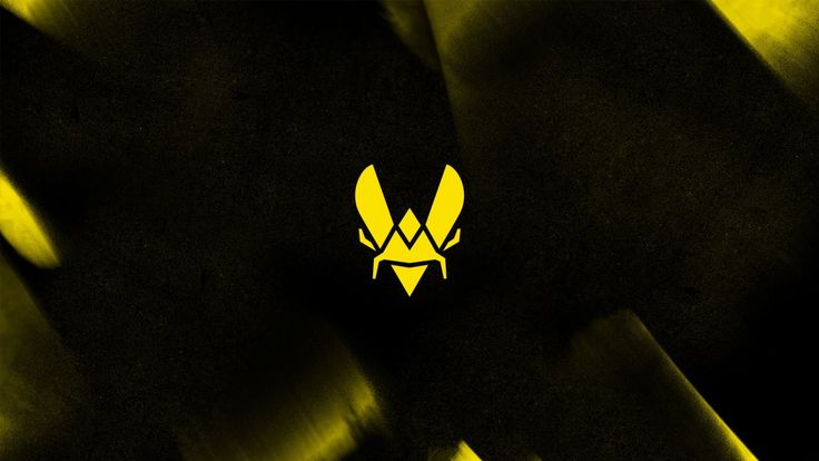 Vitality bientôt de retour sur Fortnite ?