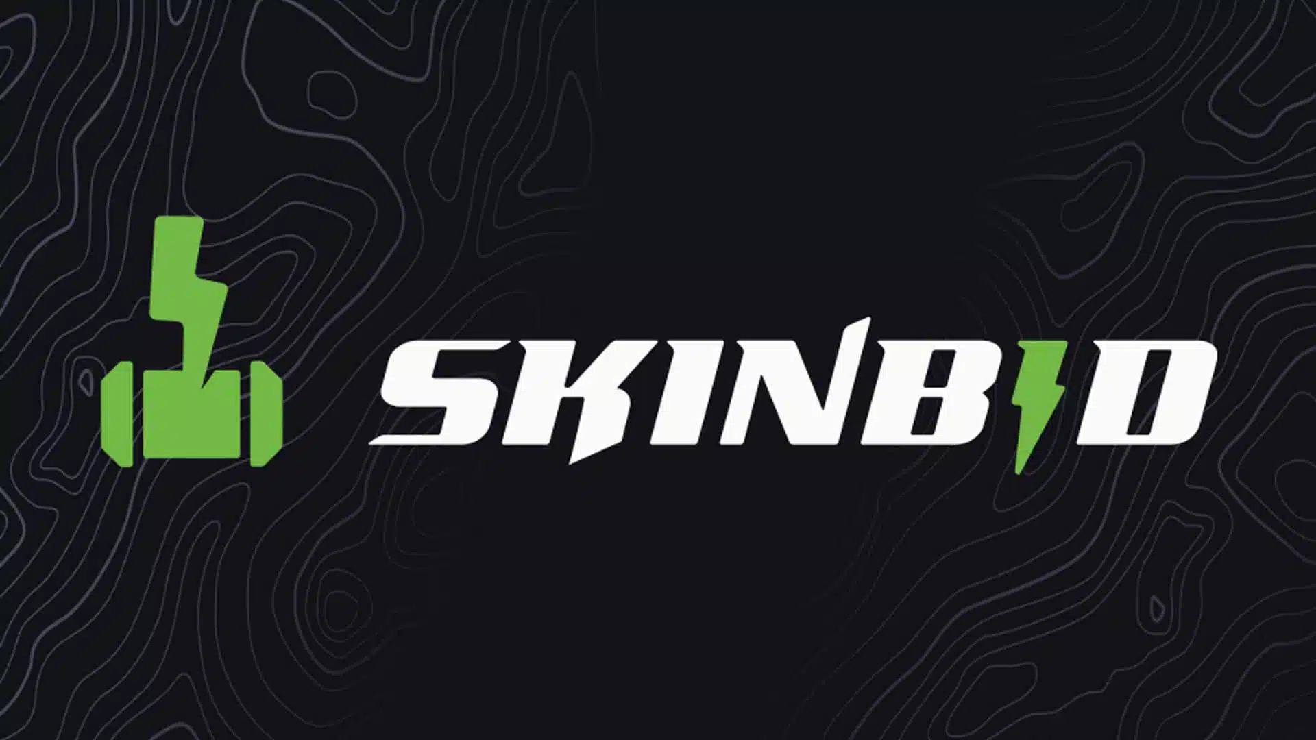 SkinBid bancarotta ohnePixel