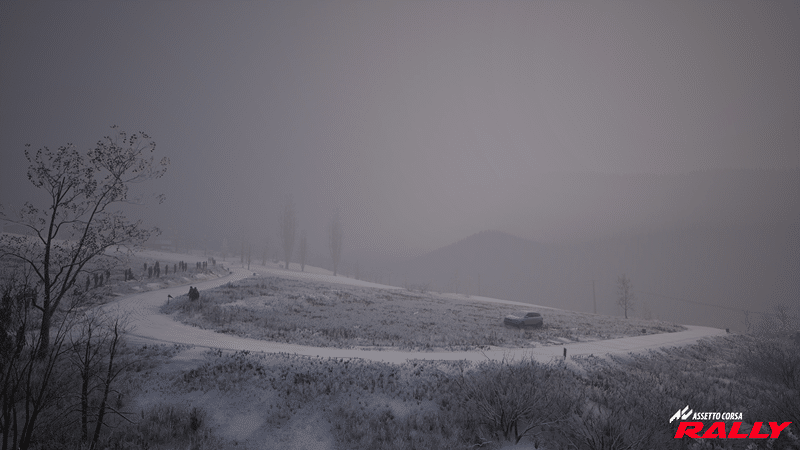 Assetto Corsa Rally Monte Carlo