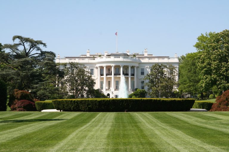 Health care, the White House and esports
