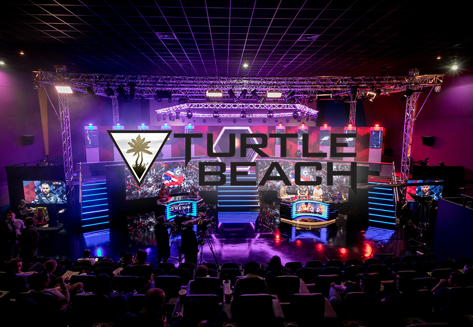 Gfinity Turtle Beach