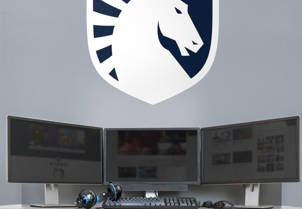 Team Liquid Fathead