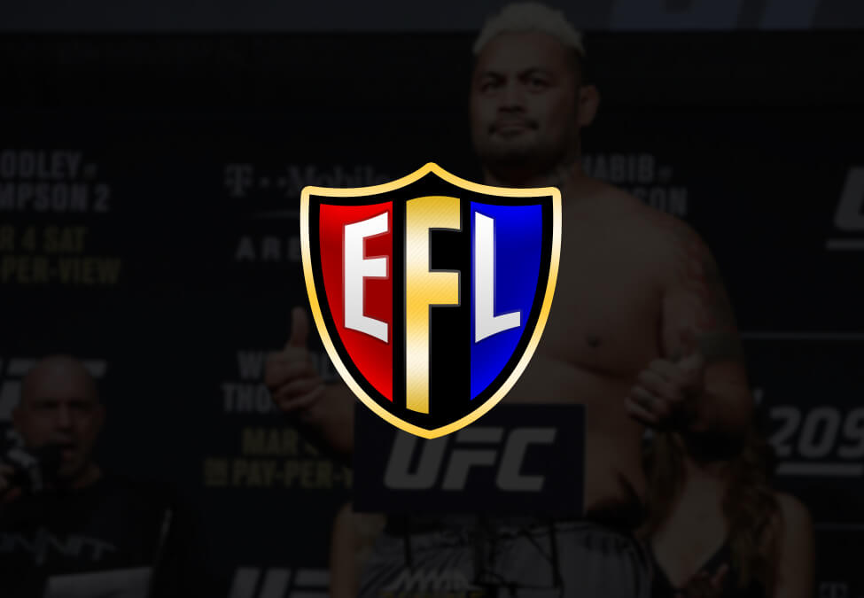 eFighting League