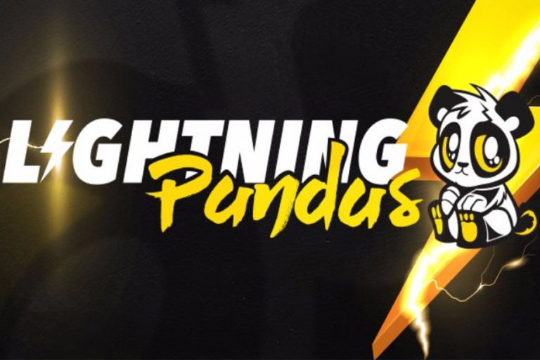 Lighting Pandas cease operations