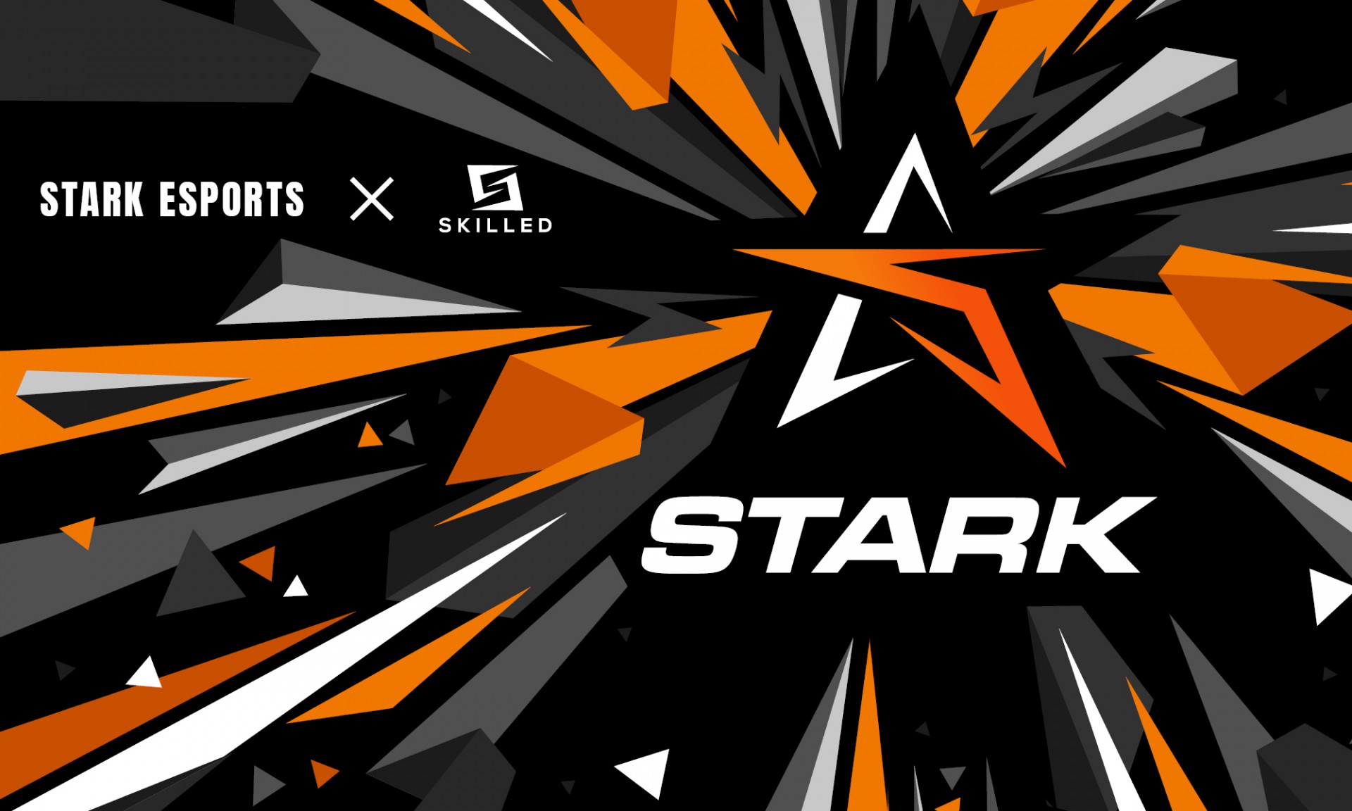 STARK Esports skilled
