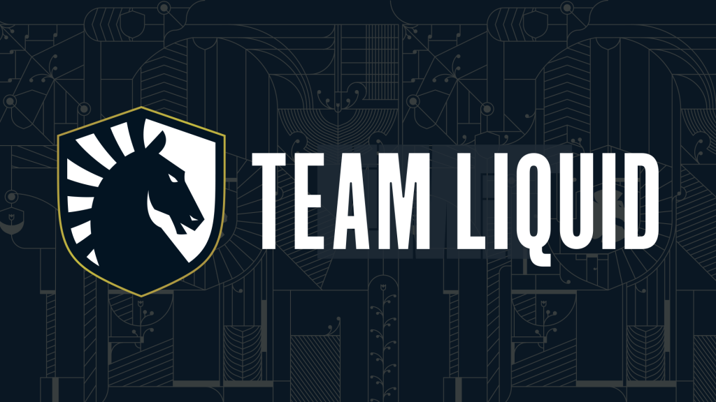 Team Liquid MMO