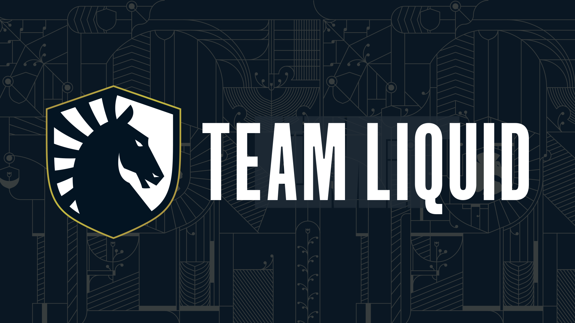 Team Liquid MMO