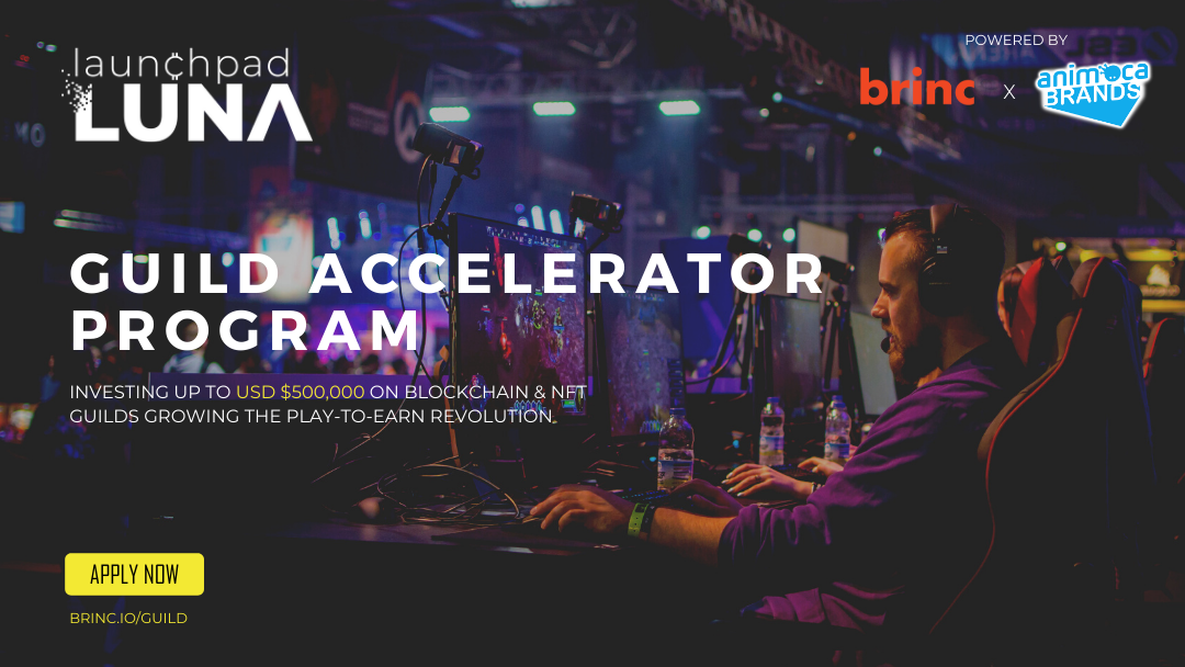 Animoca Brands Guild Accelerator Program