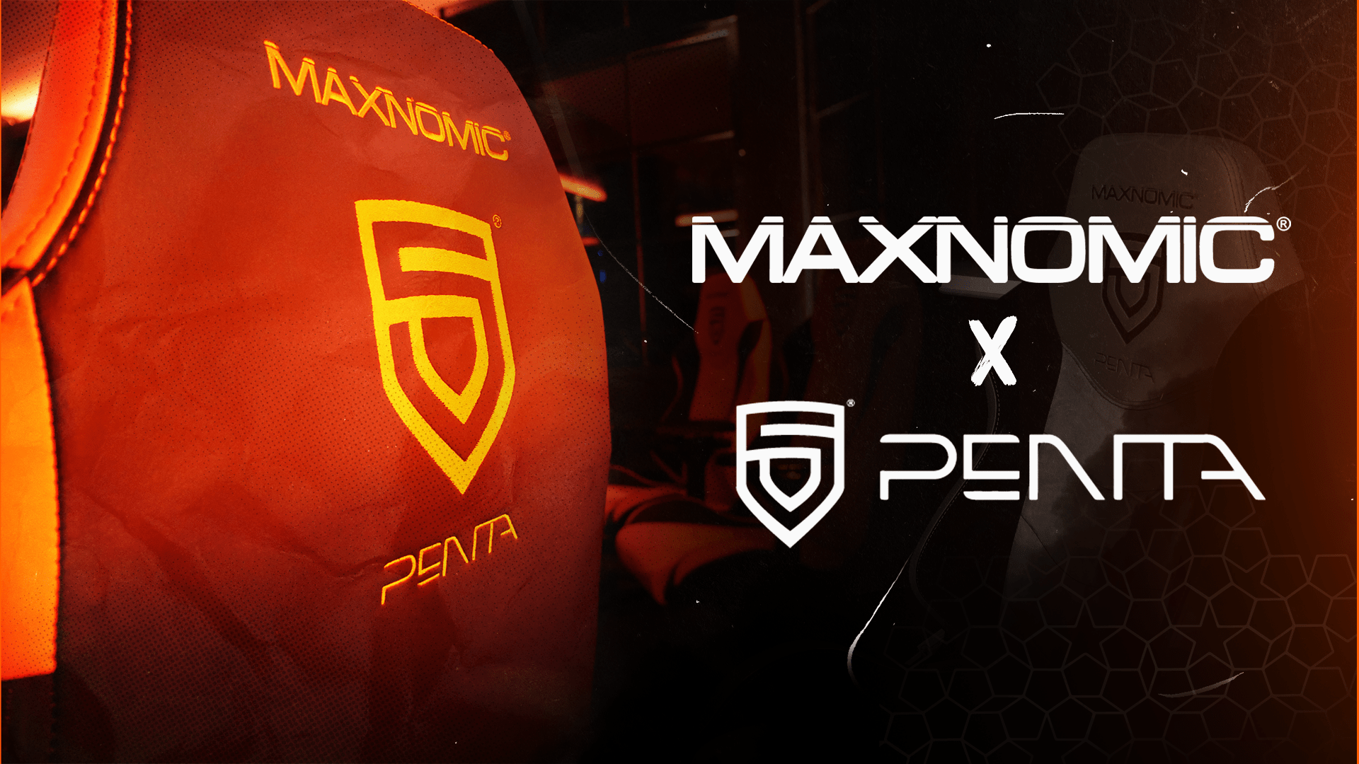 penta maxnomic penta maxnomic