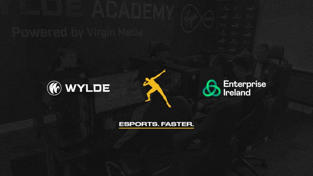 wylde enterprise ireland