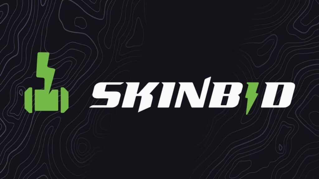 Image of SkinBid logo on a dark background with grey lines