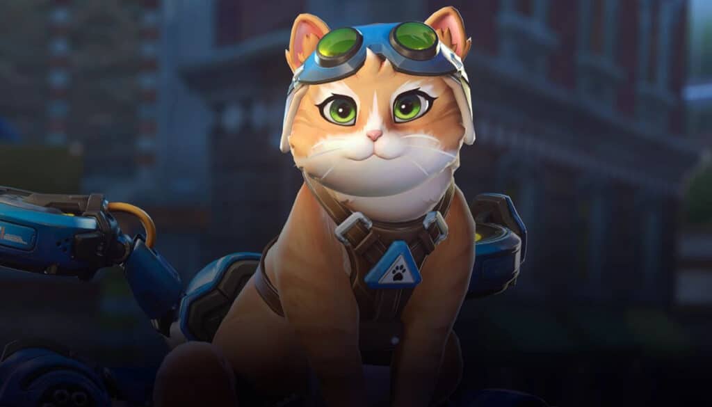 Jetpack Cat hero wearing goggles and jetpack gear in Overwatch